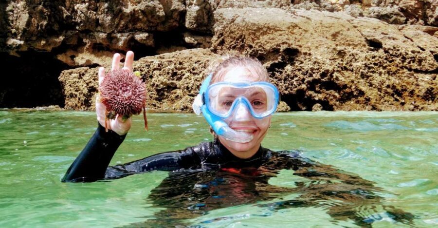 Lisbon: Arrábida Snorkeling Adventure - From Lisbon Zoo to Arrábida: how this fits into 5 hours