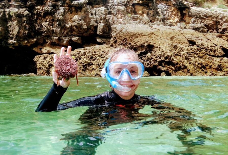 Lisbon: Arrábida Snorkeling Adventure - The Natural Park trek: moderate walking, maximum viewpoint value