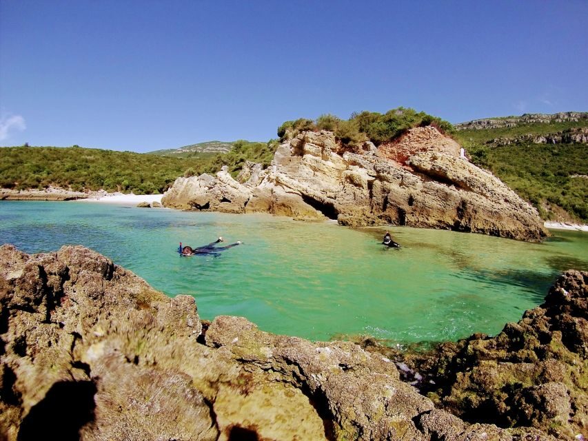 Lisbon: Arrábida Snorkeling Adventure - Beaches and bays: where the snorkeling session makes (or breaks) the day