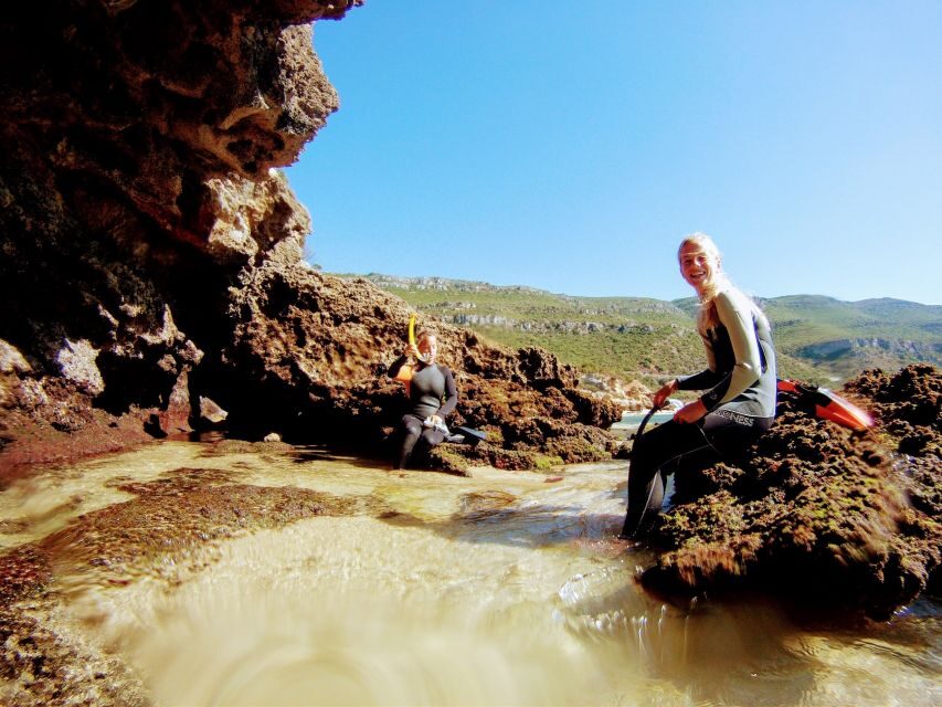 Lisbon: Arrábida Snorkeling Adventure - What you might see: squid, octopuses, and colorful fish