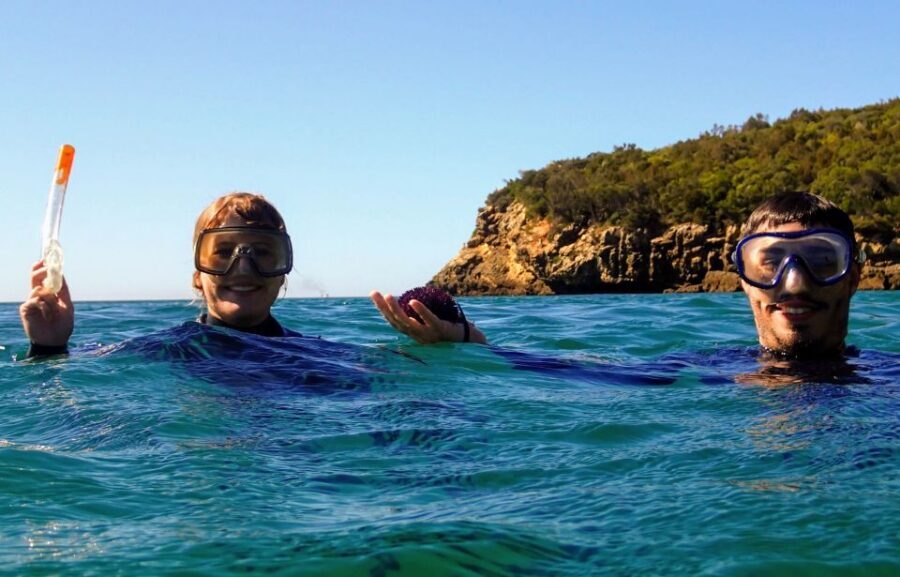 Lisbon: Arrábida Snorkeling Adventure - Photo and video options for the souvenir you’ll actually use