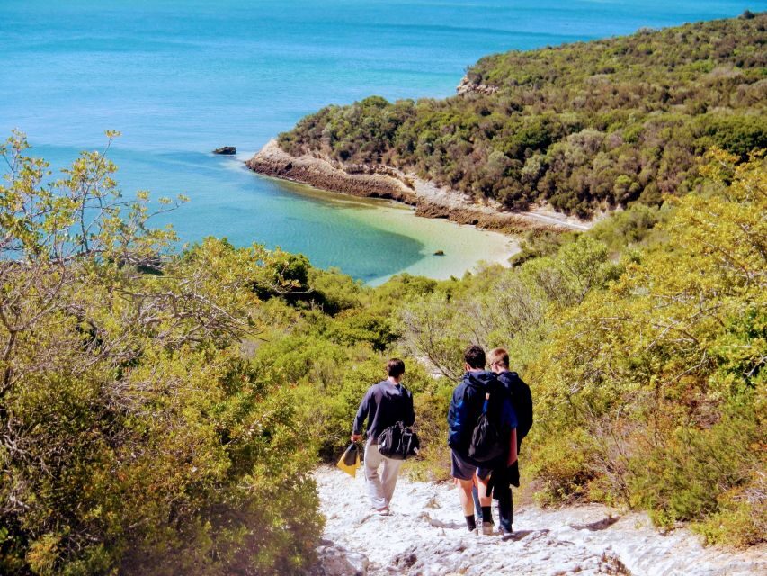 Lisbon: Arrábida Snorkeling Adventure - Fossil cliffs above the Atlantic: the big scenery payoff