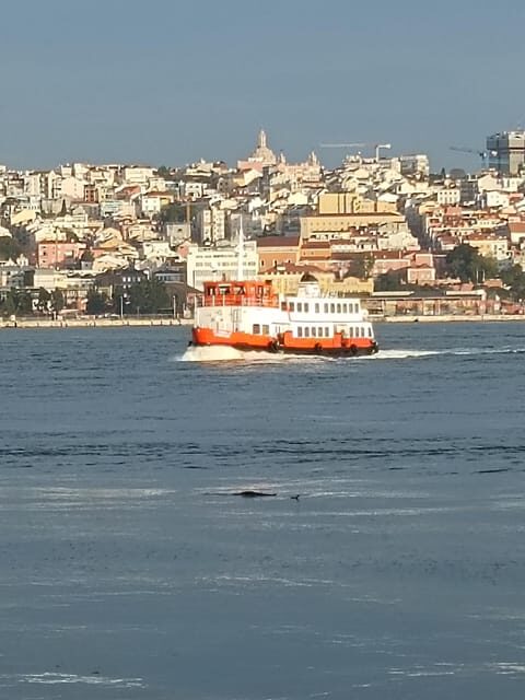 Lisbon: Belem, Jeronimos Monastery, and Coach Museum Tour - FAQ