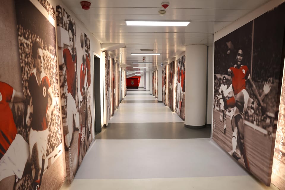 Lisbon: Benfica Luz Stadium Tour with Souvenir Scarf - Visitors locker room: the backstage part most people love