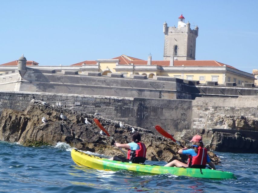 Lisbon: Coast Guided Kayak Tour - Why this Lisbon kayak tour feels like a real alternative to sightseeing