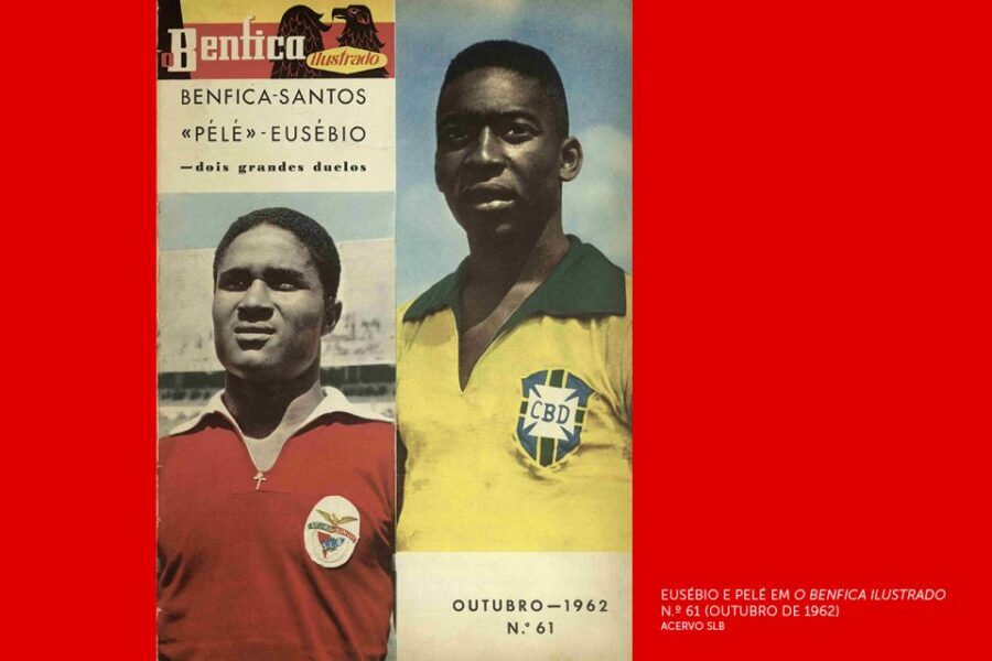 Lisbon: Customized Luz Stadium and Guided Museum Tour - Timing: it’s listed as 2 hours, but plan like it can run long