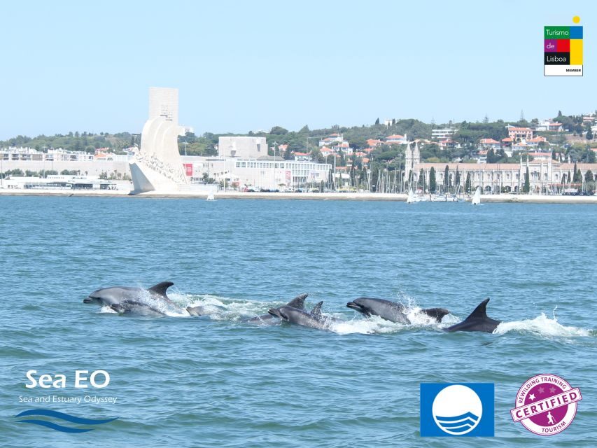 Lisbon: Dolphin Watching with Marine Biologist - Seasickness, jackets, and what to wear (so you enjoy the ride)