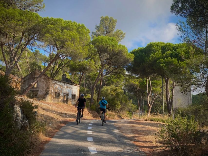 Lisbon: E-bike Trip from the Sintra Mountains to Cascais Sea - Why a Sintra-to-Cascais e-bike ride makes sense