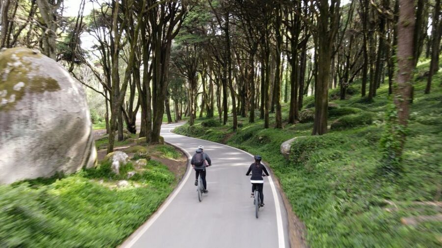 Lisbon: E-bike Trip from the Sintra Mountains to Cascais Sea - Sintra Forest climb: sheep, horses, gardens, and a fountain stop