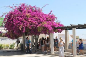 Lisbon: Full-Day Private Walking Sightseeing Tour - Starting under the Arco da Rua Augusta (and not wasting time finding the group)