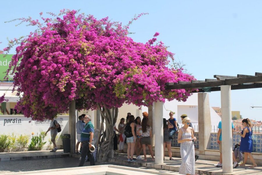 Lisbon: Full-Day Private Walking Sightseeing Tour - Starting under the Arco da Rua Augusta (and not wasting time finding the group)