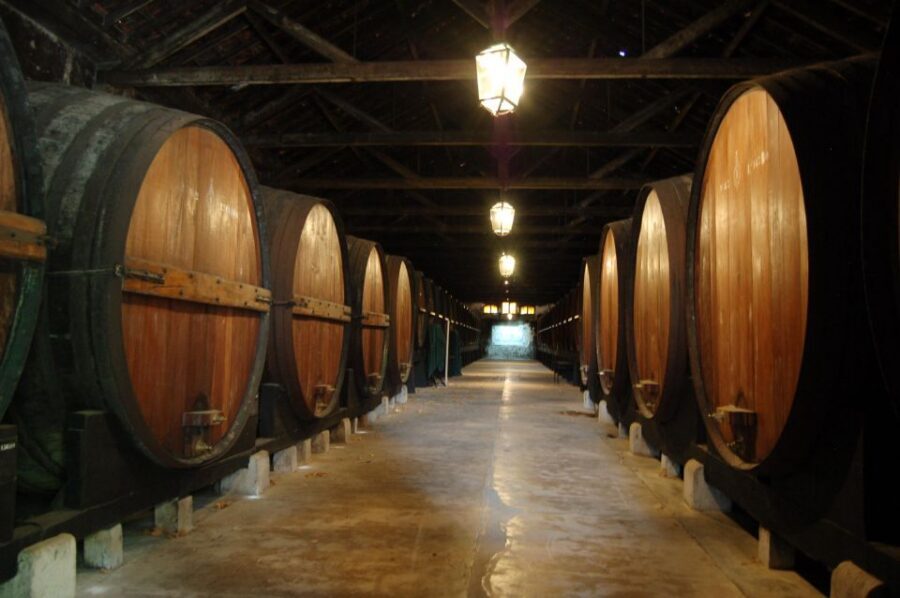 Lisbon Getaway: Private Arrábida Wine & Food Tour - Price and value: what $222 buys you (and what costs extra)