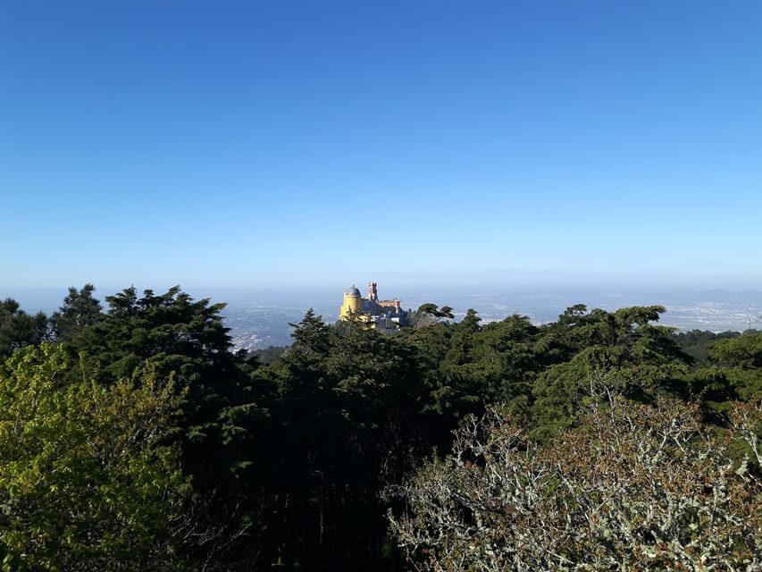 Lisbon: Half-Day Sintra Tour with Pena Palace and Regaleira - Guide quality: you can see the difference in pacing and photos