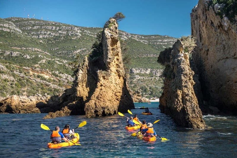 Lisbon: Kayak Tour Arrábida Natural Park, Setubal, Sesimbra - Anicha Island Stop: Marine Life Up Close Without the Snorkel Pressure