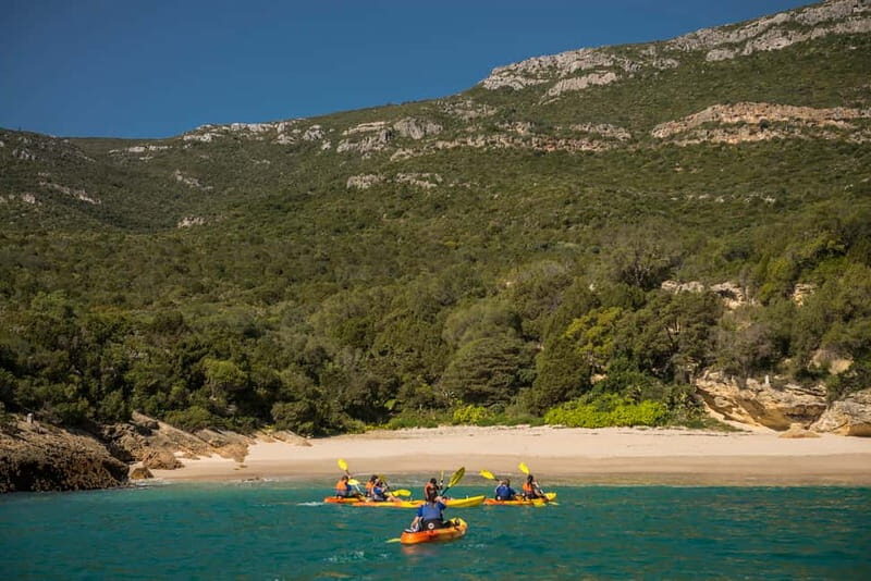 Lisbon: Kayak Tour Arrábida Natural Park, Setubal, Sesimbra - Safety That Doesn’t Feel Rigid: Backup Motorboat + Skilled Guides