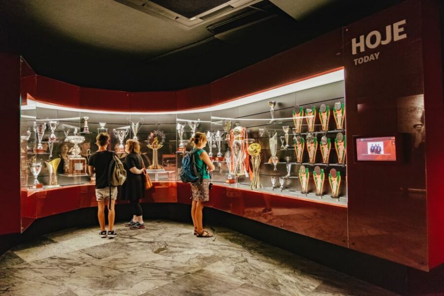 Lisbon: Luz Stadium Tour & SL Benfica Museum Ticket w/Scarf - Hall of Fame VR and the pitch-access tunnel: tech meets tradition
