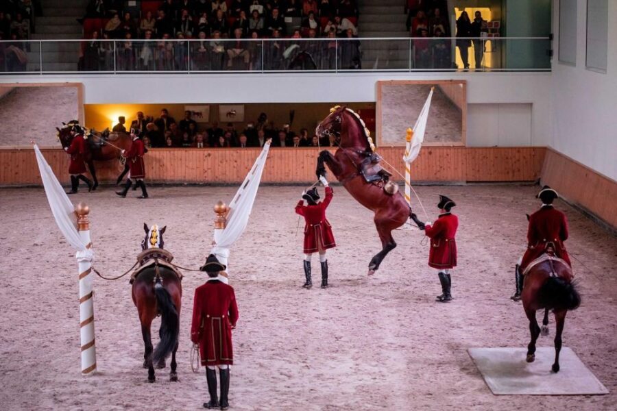 Lisbon: Morning of Equestrian Art with Lusitano Horses - A Lisbon Morning Built Around Lusitano Training