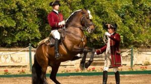 Lisbon: Morning of Equestrian Art with Lusitano Horses - Where It Happens: Nora Patio and Henrique Calado Riding Ring