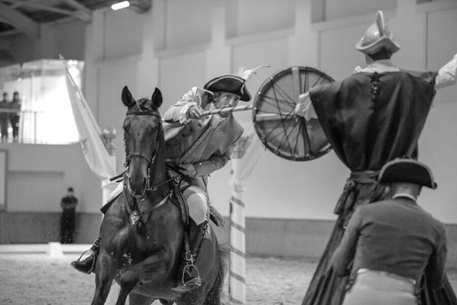 Lisbon: Morning of Equestrian Art with Lusitano Horses - Audio Guide, Photography Rules, and Timing That Works
