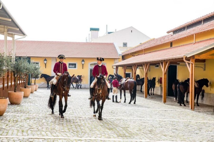 Lisbon: Morning of Equestrian Art with Lusitano Horses - Price and Value: Is $17 Worth a Two-Hour Lisbon Morning?
