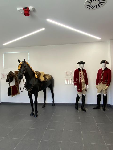 Lisbon: Morning of Equestrian Art with Lusitano Horses - Practical Tips for Your Best Experience