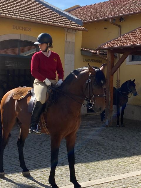 Lisbon: Morning of Equestrian Art with Lusitano Horses - Should You Book This Lisbon Lusitano Training Morning?