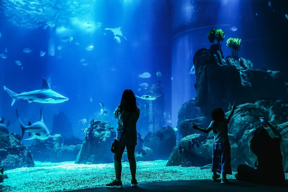 Lisbon: Oceanário de Lisboa Entrance Ticket - The four ocean bodies of water: North Atlantic to Tropical Indian Ocean