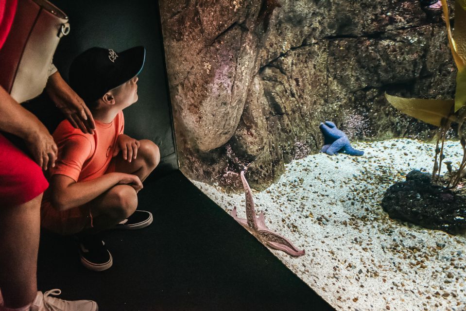Lisbon: Oceanário de Lisboa Entrance Ticket - Skip-the-line entry: why timing matters more than you think