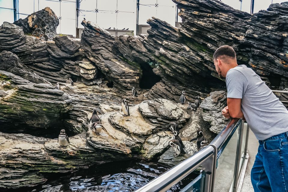Lisbon: Oceanário de Lisboa Entrance Ticket - Guided tours (extra cost): when a guide is worth it