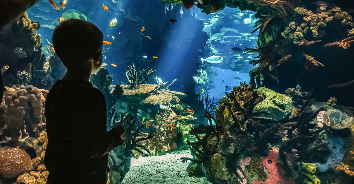Lisbon: Oceanário de Lisboa Entrance Ticket - How long to plan: a realistic 1-day game plan