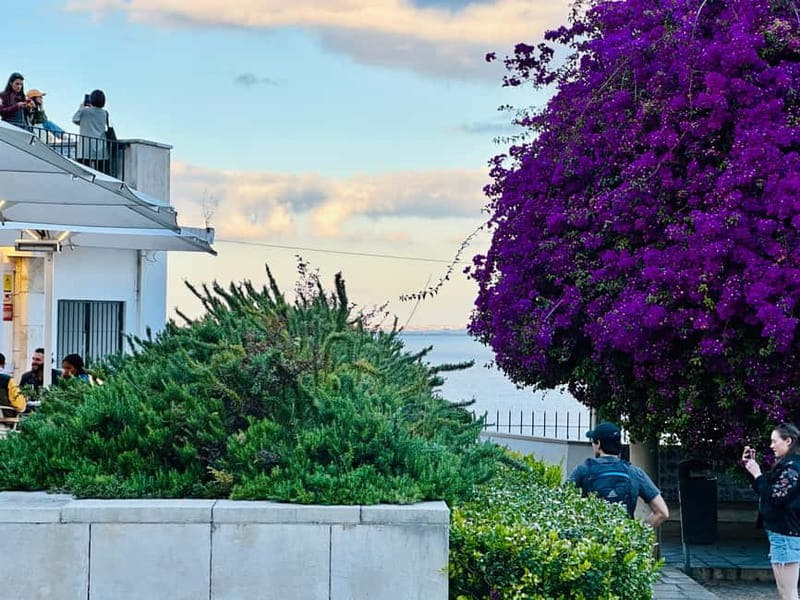 Lisbon: Old Town Tuk-Tuk Tour. - The Scenic Tejo River Drive and Commerce Square Start