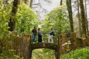 Lisbon: Pena Palace, Sintra, Cabo da Roca, & Cascais Daytrip - Pena Palace: gardens, views, and a plan to avoid the worst lines