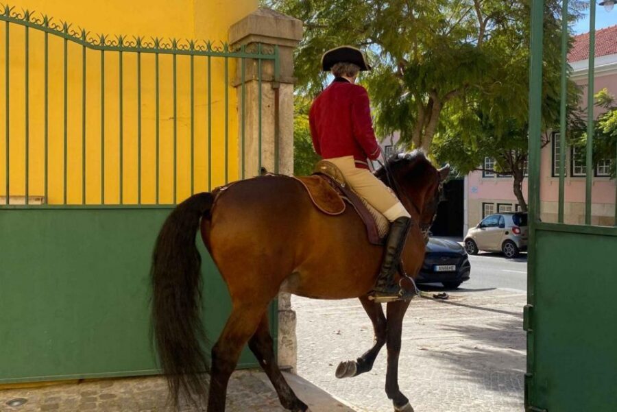 Lisbon: Portuguese Riding School Trainig with Lusitano Horse - Key things you’ll notice right away