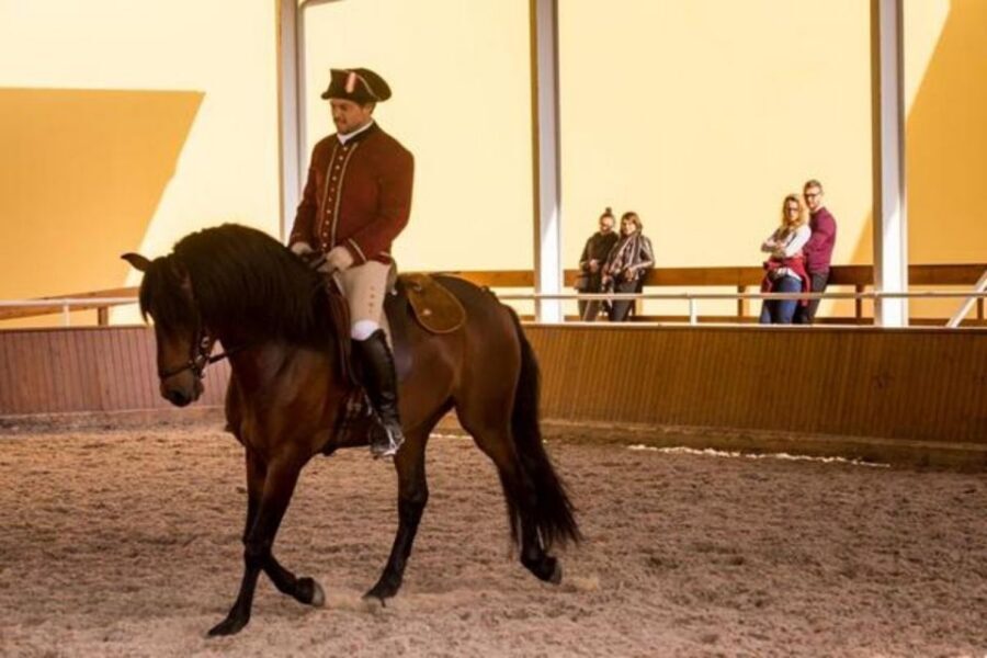 Lisbon: Portuguese Riding School Trainig with Lusitano Horse - Timing Tips: Aim for 11am to 12:30pm