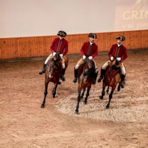 Lisbon: Portuguese Riding School Trainig with Lusitano Horse - Henrique Calado Riding Ring: See the Handlers Do Their Job
