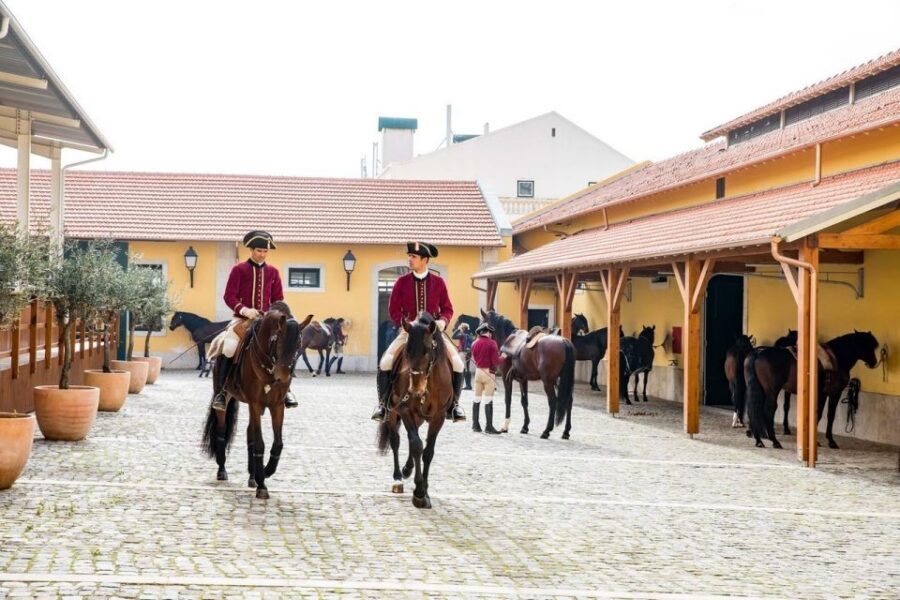 Lisbon: Portuguese Riding School Trainig with Lusitano Horse - Period-Costume Warm-Ups and Resourcefulness Exercises