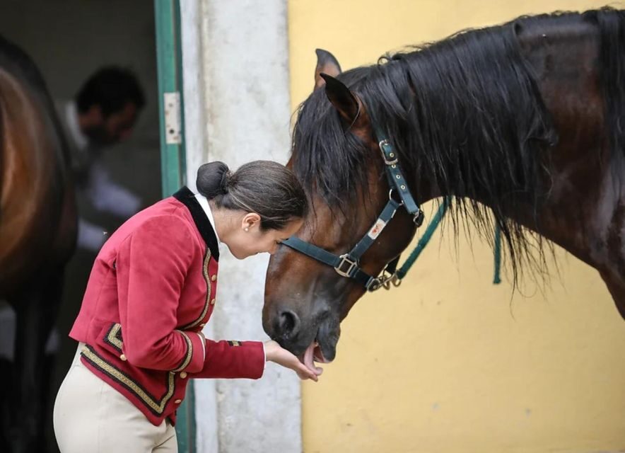 Lisbon: Portuguese Riding School Trainig with Lusitano Horse - Training and Rehearsals of Equestrian Art Choreographies