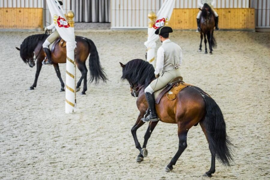 Lisbon: Portuguese Riding School Trainig with Lusitano Horse - Audio Guide: Your On-Your-Feet Explanation Team