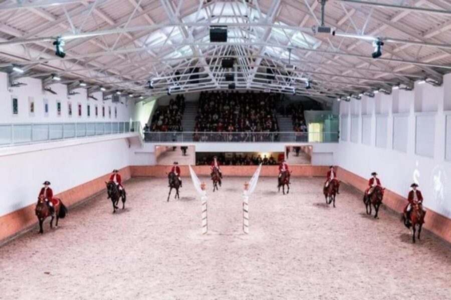 Lisbon: Portuguese Riding School Trainig with Lusitano Horse - Price and Value: Is $17 Worth Your Time?