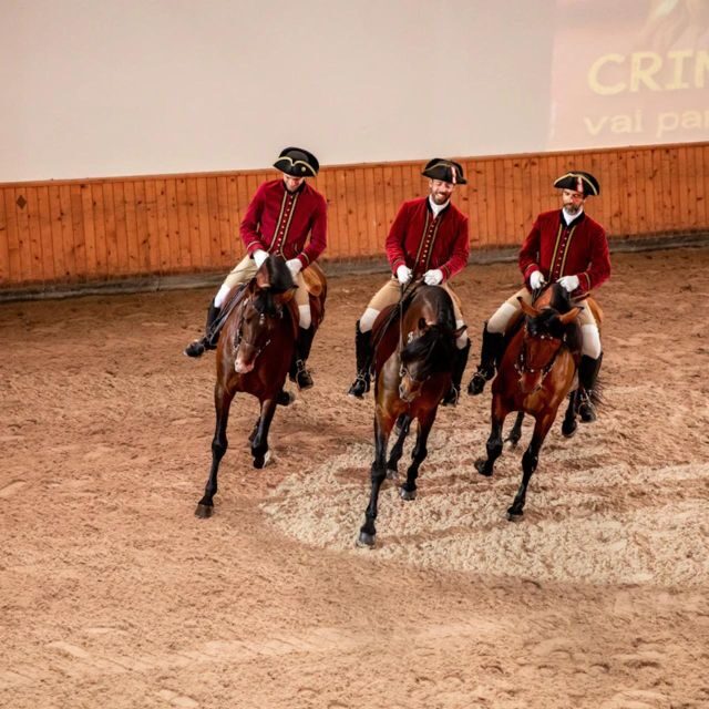 Lisbon: Portuguese Riding School Trainig with Lusitano Horse - Henrique Calado Riding Ring: See the Handlers Do Their Job