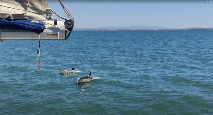 Lisbon: Private Boutique Boat Tour – Sail in Style - Who should book this private Lisbon sail (and who might not)