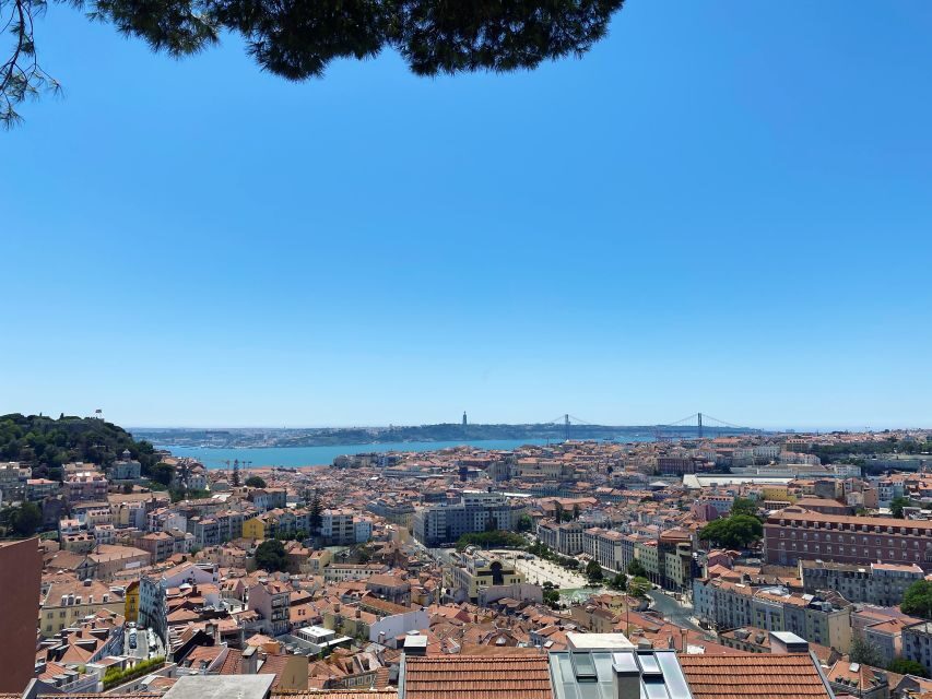 Lisbon: Private City Sightseeing Tour by Tuk-Tuk - Should you book this Lisbon private tuk-tuk tour?