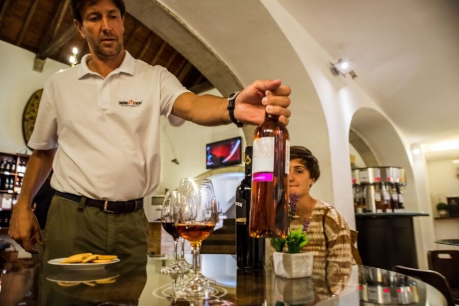 Lisbon Private Setúbal Region Wine Tasting Tour - Key things worth knowing before you go