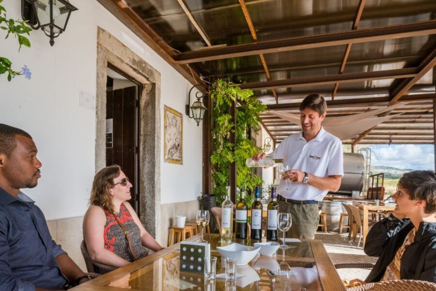 Lisbon Private Setúbal Region Wine Tasting Tour - Lisbon to Setúbal: the drive and first impressions