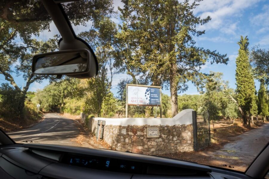 Lisbon Private Setúbal Region Wine Tasting Tour - The José Maria da Fonseca stop: the anchor winery of the day