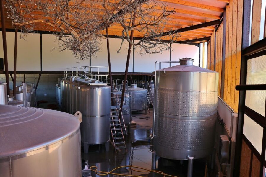 Lisbon Private Setúbal Region Wine Tasting Tour - Azeitão’s Quinta do Alcube: a century-old family cellar feel