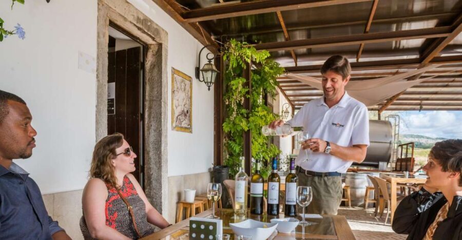 Lisbon Private Setúbal Region Wine Tasting Tour - Two tour options: pick cheese-and-tastings or lunch-and-tastings