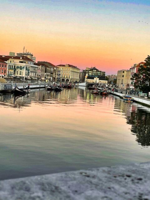 Lisbon: Private Transfer to Porto with stops until 3 cities - Key highlights worth planning around