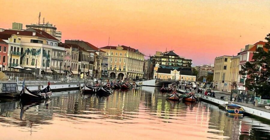 Lisbon: Private Transfer to Porto with stops until 3 cities - The guide factor: why Nuno and Emmanuel make a difference