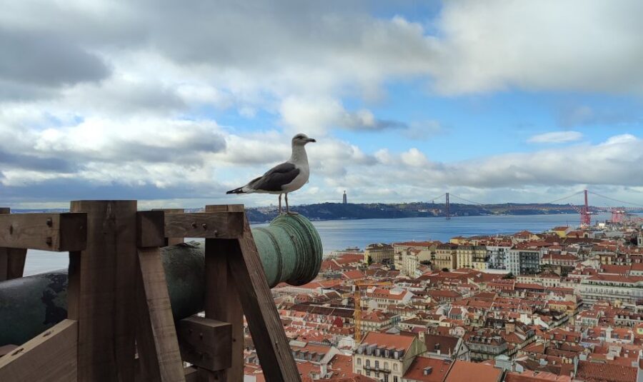 Lisbon: Saint George's Castle Entry Ticket and Guided Visit - Key highlights worth your attention